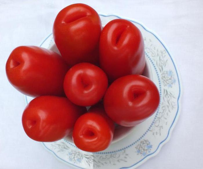 Tomato "Důstojnost člověka" popis