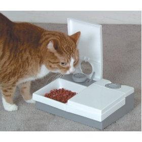 Hodnocení krmiva pro kočky: vyberte si krmivo pro domácí zvířata