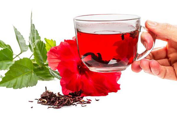 užitečné vlastnosti karkádového čaje a kontraindikace 