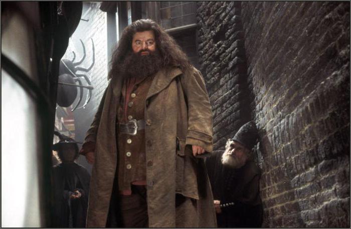 harry potter hagrid herec