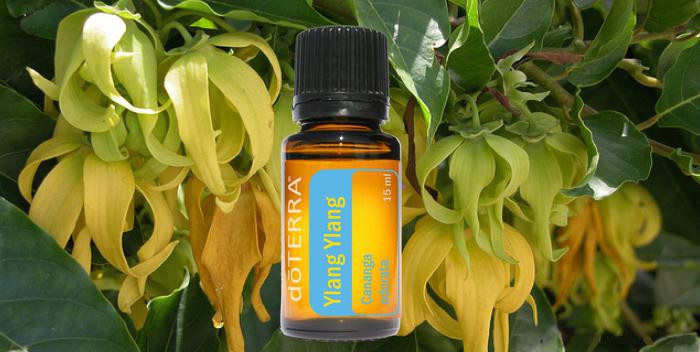 esenciální olej ylang ylang pro vlasy