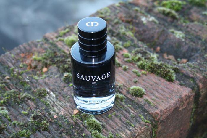 Toaletní voda Water Dior Sauvage: recenze, pyramida, cena