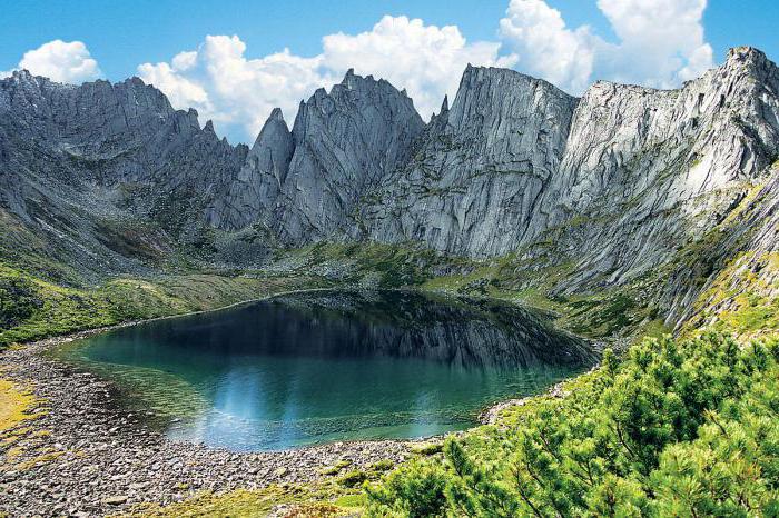 Bureinská rezervace: fotografie a popis