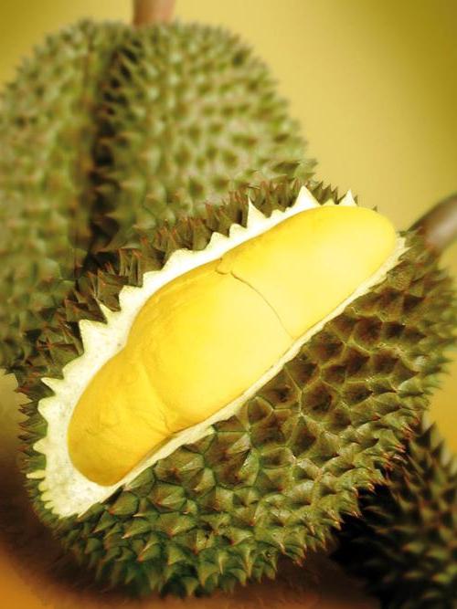 Durian - královské ovoce