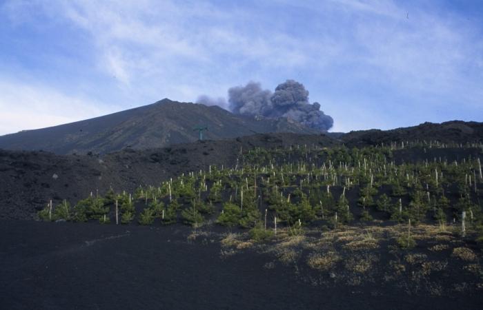 Sopečná erupce: příčiny a důsledky