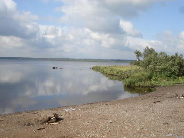 Volojarvi je jezero v oblasti Leningradu. Popis, rybaření, fotografie