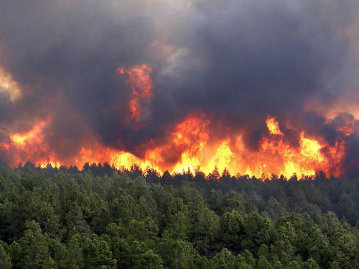 jaké jsou hlavní příčiny změny biogeocenózy