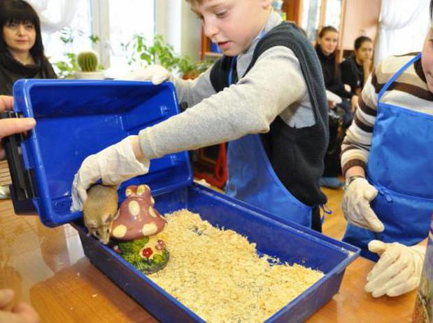 témata otevřených lekcí v biologii 