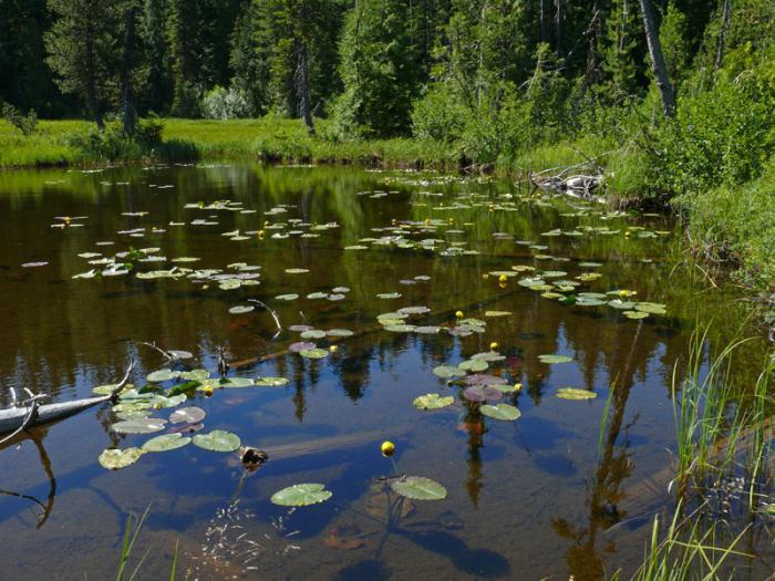 Krása jezera Velké jezero Simago