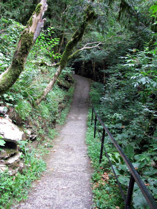 Navalishensky Gorge Soči