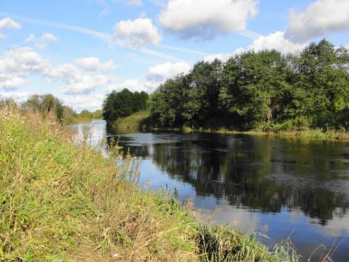 Oredezh - řeka v oblasti Leningradu. Přítoky a zeměpisné rysy toku vody. Rybaření a turistika na řece