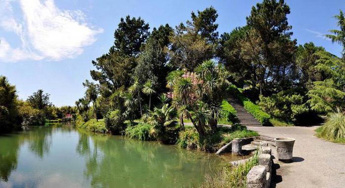 park jižní kultury, jak se dostat ze Soči