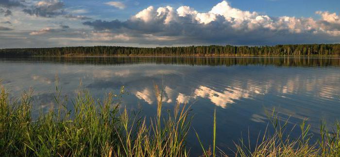 střediska Altai 