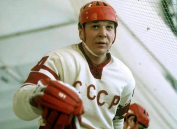 A. Maltsev, hokejista: biografie, osobní život, fotografie