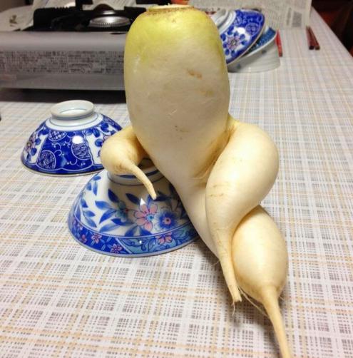 Daikon: přínosy a poškození zdraví