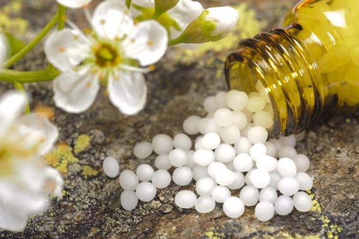 calcarea homeopatie karbona svědectví