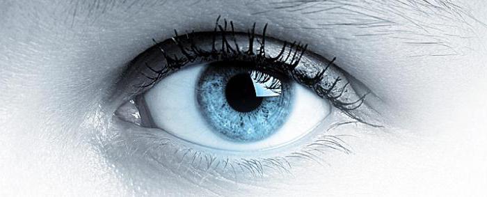 Konvergence očí: definice. Jak to vidíme? Oční funkce